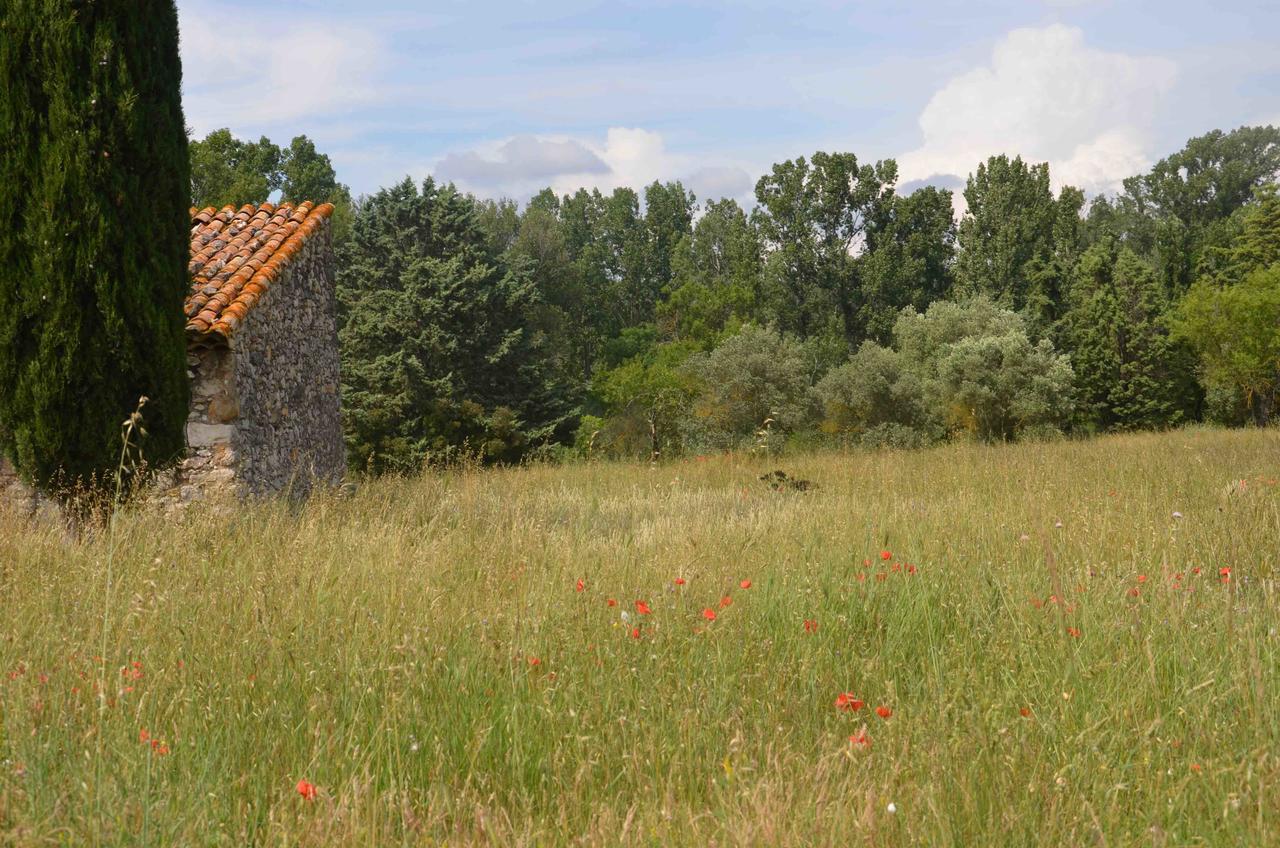 Domaine Shambala - Maison D'Hote En Provence - Piscine Chauffee Velaux Luaran gambar